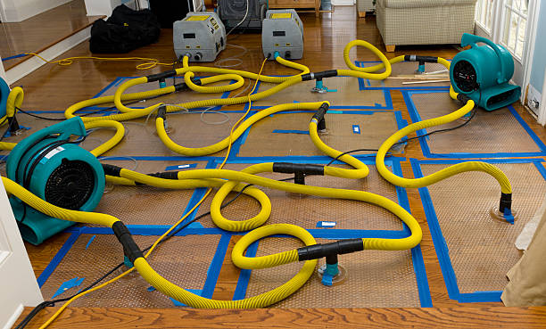 Professional Crawl Space Water Removal technician working in South Park, PA